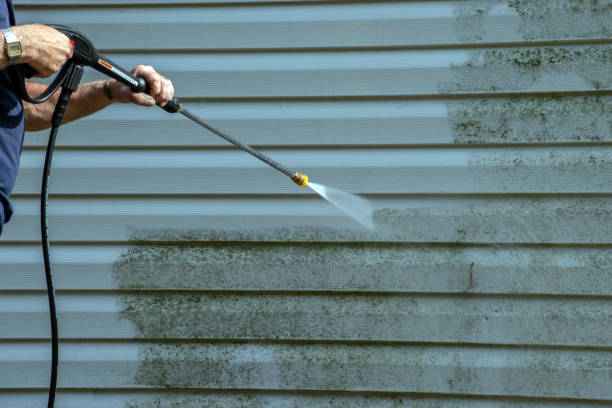 Best Exterior Home Cleaning  in Hastings, PA